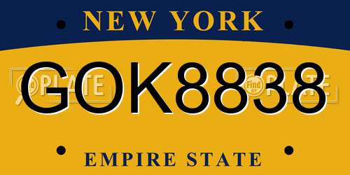 GOK8838 New York License Plate