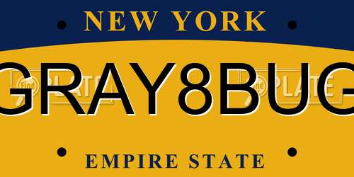 GRAY8BUG New York License Plate