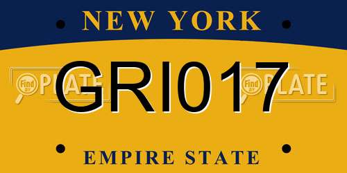 GRI017 New York License Plate