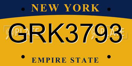 GRK3793 New York License Plate