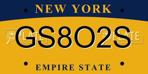 GS8O2S New York License Plate