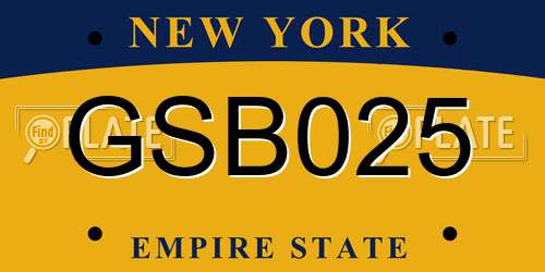 GSB025 New York License Plate