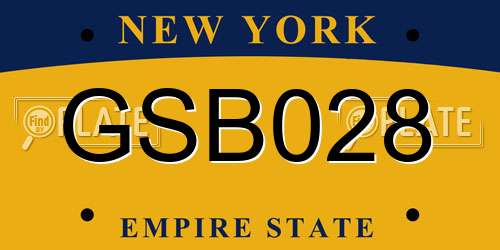 GSB028 New York License Plate