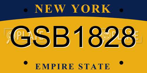 GSB1828 New York License Plate