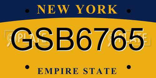 GSB6765 New York License Plate