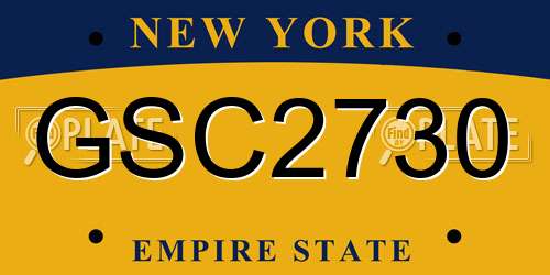 GSC2730 New York License Plate