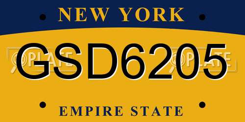 GSD6205 New York License Plate