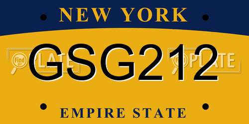 GSG212 New York License Plate
