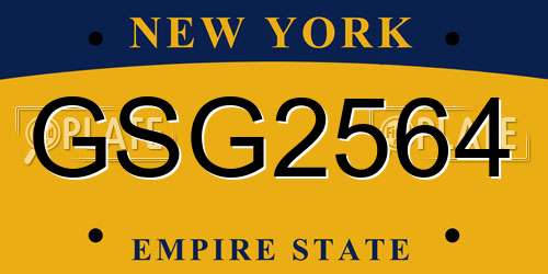 GSG2564 New York License Plate