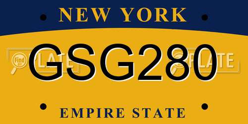 GSG280 New York License Plate