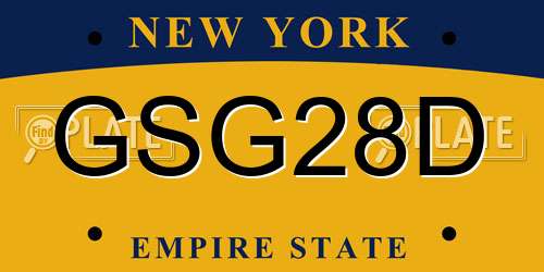 GSG28D New York License Plate