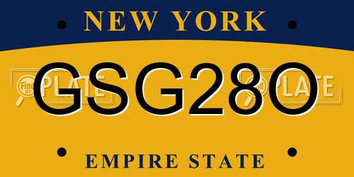 GSG28O New York License Plate