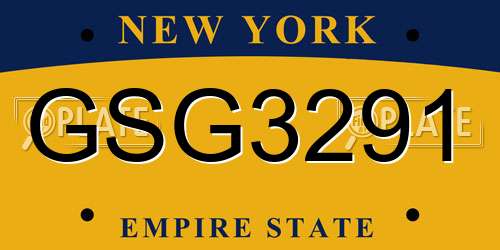 GSG3291 New York License Plate