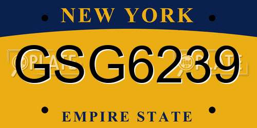 GSG6239 New York License Plate