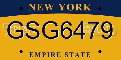 GSG6479 New York License Plate