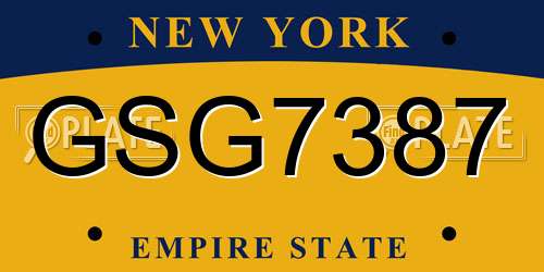 GSG7387 New York License Plate
