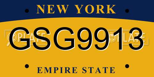 GSG9913 New York License Plate