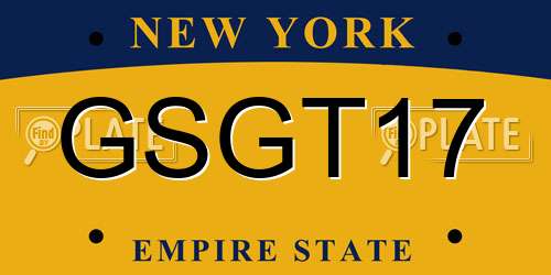 GSGT17 New York License Plate