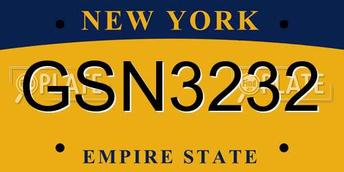 GSN3232 New York License Plate