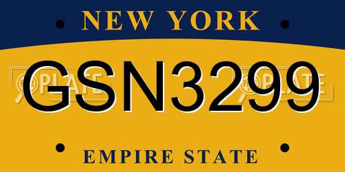 GSN3299 New York License Plate