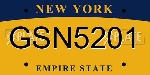 GSN5201 New York License Plate