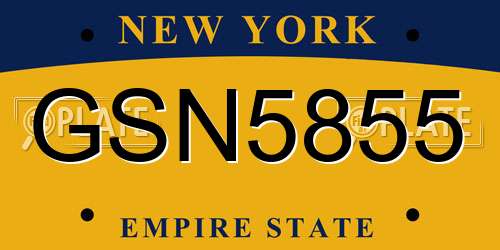 GSN5855 New York License Plate