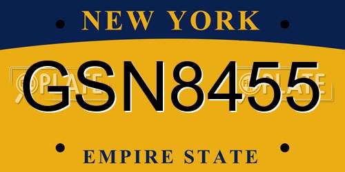 GSN8455 New York License Plate
