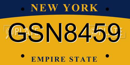 GSN8459 New York License Plate
