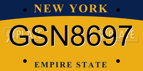 GSN8697 New York License Plate