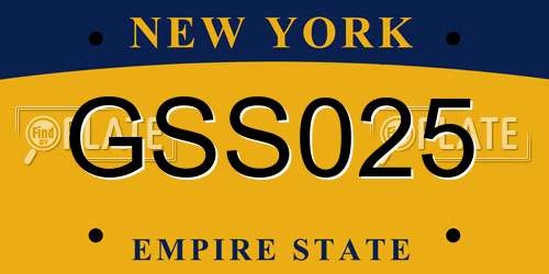 GSS025 New York License Plate