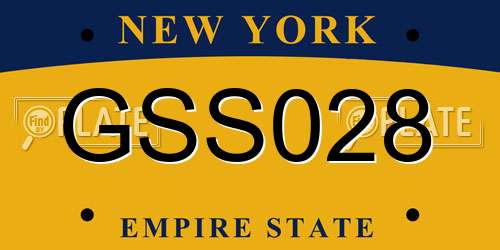 GSS028 New York License Plate
