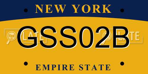 GSS02B New York License Plate
