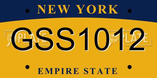 GSS1012 New York License Plate