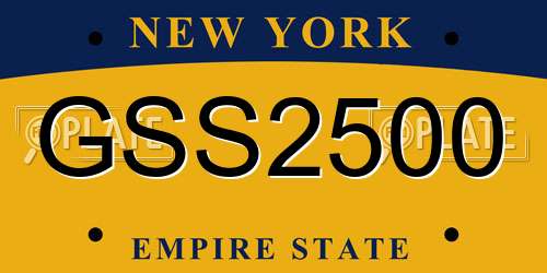 GSS2500 New York License Plate