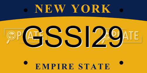 GSSI29 New York License Plate