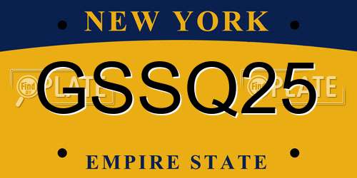 GSSQ25 New York License Plate