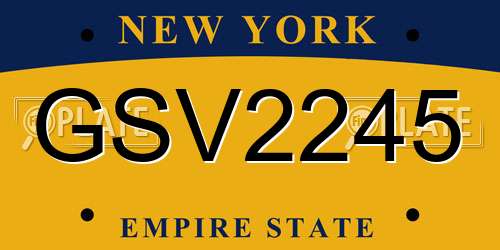 GSV2245 New York License Plate