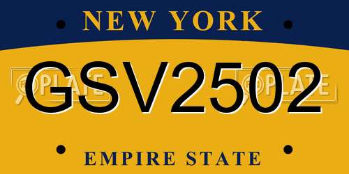 GSV2502 New York License Plate