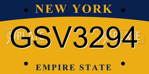 GSV3294 New York License Plate