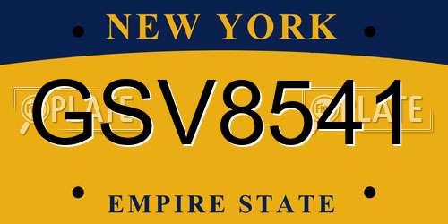 GSV8541 New York License Plate