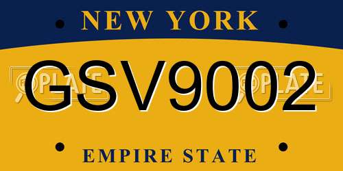 GSV9002 New York License Plate
