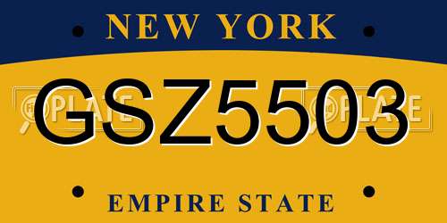 GSZ5503 New York License Plate