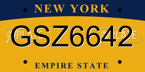 GSZ6642 New York License Plate