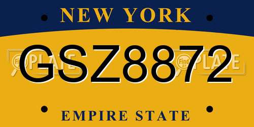 GSZ8872 New York License Plate