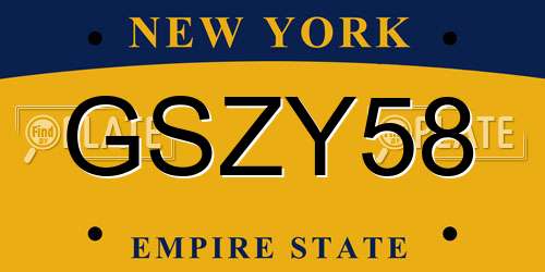 GSZY58 New York License Plate