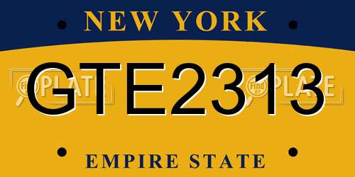 GTE2313 New York License Plate