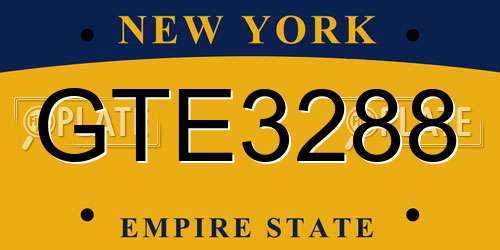 GTE3288 New York License Plate