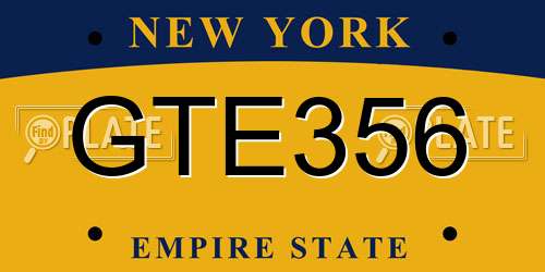 GTE356 New York License Plate