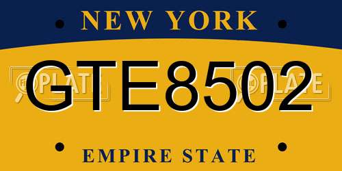 GTE8502 New York License Plate