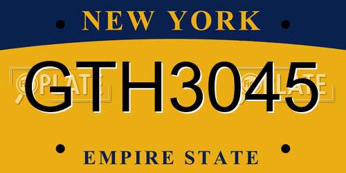 GTH3045 New York License Plate
